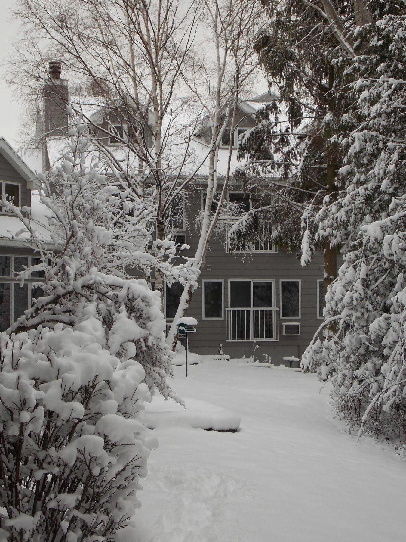 Waterbury Inn エフライム エクステリア 写真